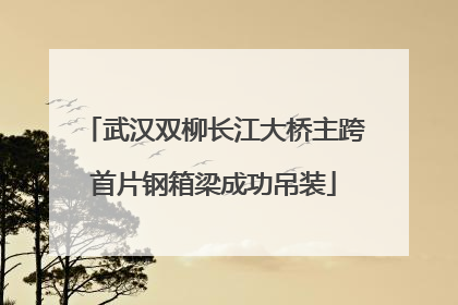 武汉双柳长江大桥主跨首片钢箱梁成功吊装