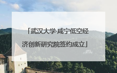 武汉大学·咸宁低空经济创新研究院签约成立