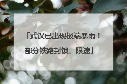 武汉已出现极端暴雨！部分铁路封锁、限速