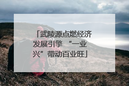 武陵源点燃经济发展引擎 “一业兴”带动百业旺