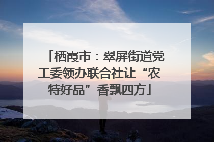 栖霞市：翠屏街道党工委领办联合社让“农特好品”香飘四方