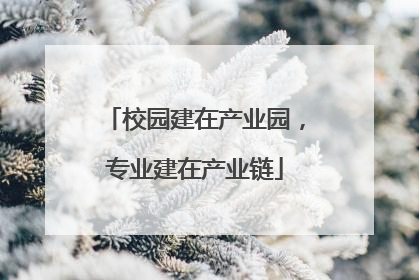 校园建在产业园，专业建在产业链