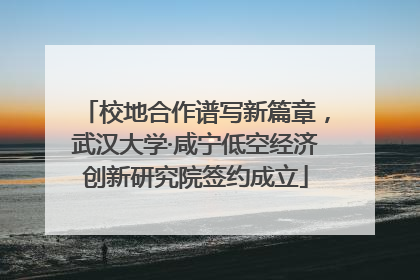 校地合作谱写新篇章，武汉大学·咸宁低空经济创新研究院签约成立