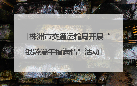 株洲市交通运输局开展“银龄端午福满情”活动