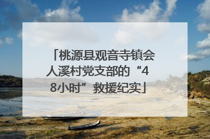 桃源县观音寺镇会人溪村党支部的“48小时”救援纪实