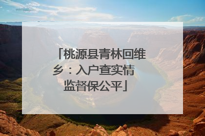 桃源县青林回维乡：入户查实情 监督保公平