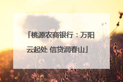 桃源农商银行：万阳云起处 信贷润春山