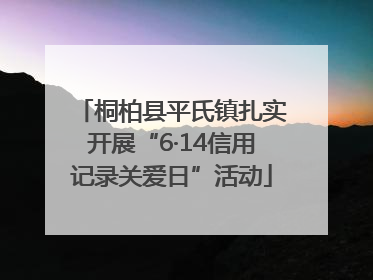 桐柏县平氏镇扎实开展“6·14信用记录关爱日”活动