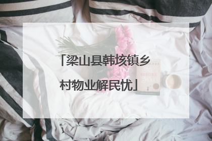 梁山县韩垓镇乡村物业解民忧