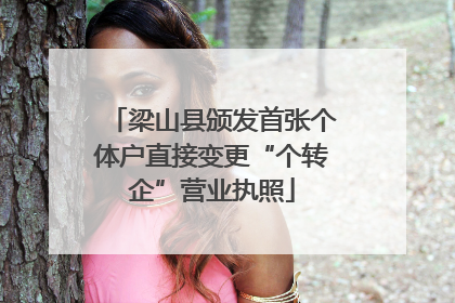 梁山县颁发首张个体户直接变更“个转企”营业执照