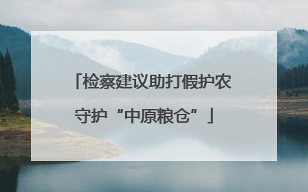 检察建议助打假护农守护“中原粮仓”