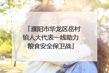 濮阳市华龙区岳村镇人大代表一线助力粮食安全保卫战