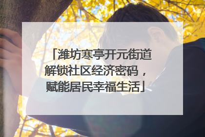 潍坊寒亭开元街道解锁社区经济密码，赋能居民幸福生活