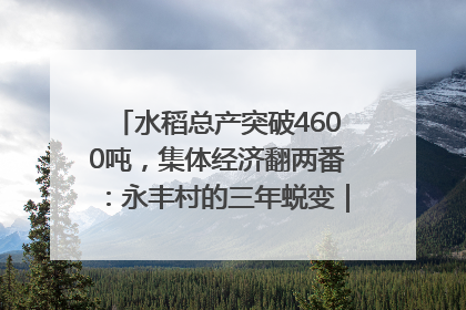 水稻总产突破4600吨，集体经济翻两番：永丰村的三年蜕变｜您牵挂的四川