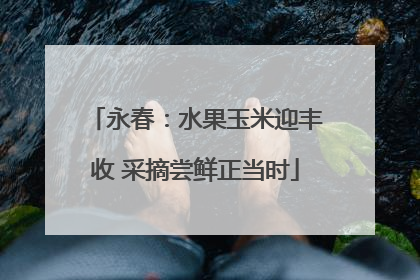 永春：水果玉米迎丰收 采摘尝鲜正当时