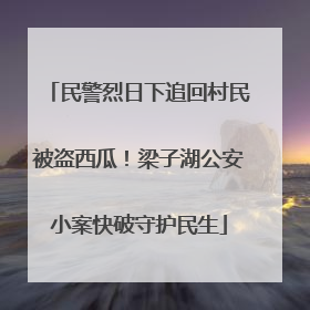 民警烈日下追回村民被盗西瓜！梁子湖公安小案快破守护民生