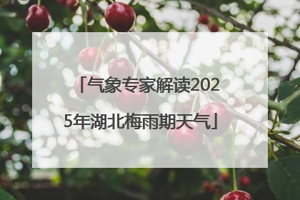 气象专家解读2025年湖北梅雨期天气