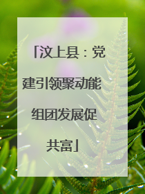 汶上县：党建引领聚动能 组团发展促共富