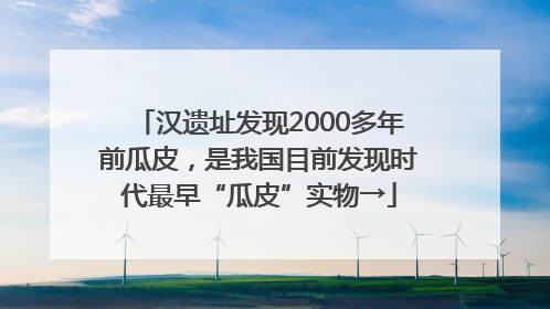 汉遗址发现2000多年前瓜皮，是我国目前发现时代最早“瓜皮”实物→