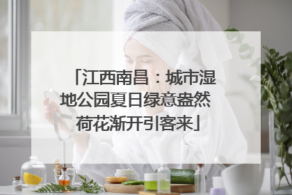 江西南昌：城市湿地公园夏日绿意盎然 荷花渐开引客来