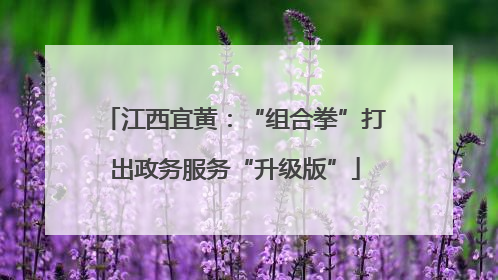 江西宜黄：“组合拳”打出政务服务“升级版”