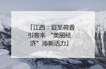 江西：夏至荷香引客来 “美丽经济”添新活力