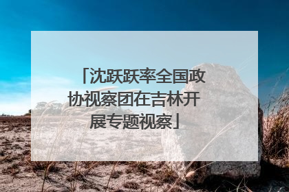 沈跃跃率全国政协视察团在吉林开展专题视察