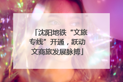 沈阳地铁“文旅专线”开通，跃动文商旅发展脉搏
