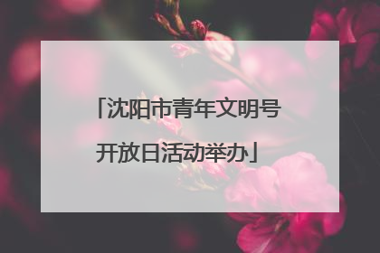 沈阳市青年文明号开放日活动举办