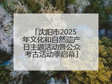 沈阳市2025年文化和自然遗产日主题活动暨公众考古活动季启幕
