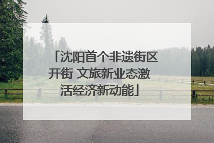 沈阳首个非遗街区开街 文旅新业态激活经济新动能