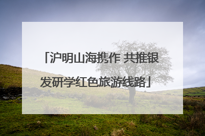 沪明山海携作 共推银发研学红色旅游线路