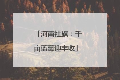 河南社旗：千亩蓝莓迎丰收