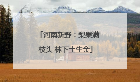 河南新野：梨果满枝头 林下土生金