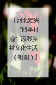 河北定兴：“四季村晚”添彩乡村文化生活（组图）