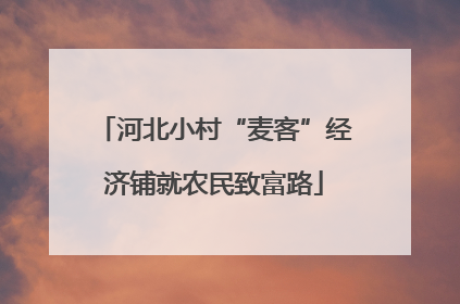 河北小村“麦客”经济铺就农民致富路
