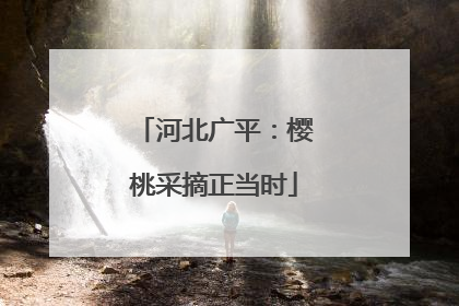 河北广平：樱桃采摘正当时