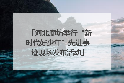 河北廊坊举行“新时代好少年”先进事迹现场发布活动