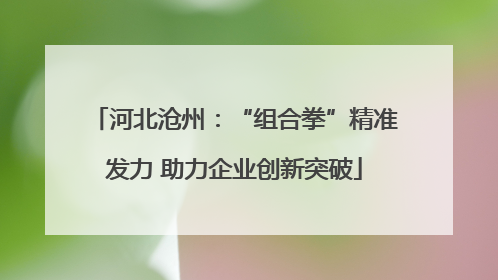 河北沧州：“组合拳”精准发力 助力企业创新突破