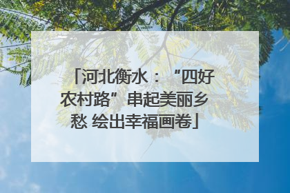 河北衡水：“四好农村路”串起美丽乡愁 绘出幸福画卷