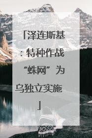 泽连斯基：特种作战“蛛网”为乌独立实施