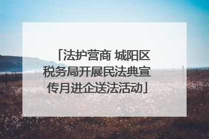 法护营商 城阳区税务局开展民法典宣传月进企送法活动