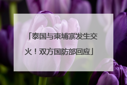 泰国与柬埔寨发生交火！双方国防部回应