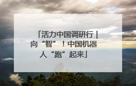 活力中国调研行｜向“智”！中国机器人“跑”起来