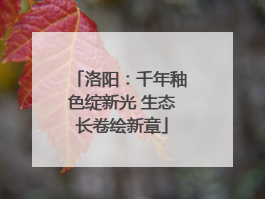 洛阳：千年釉色绽新光 生态长卷绘新章