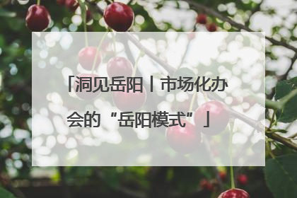 洞见岳阳丨市场化办会的“岳阳模式”