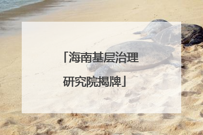 海南基层治理研究院揭牌