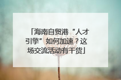 海南自贸港“人才引擎”如何加速？这场交流活动有干货