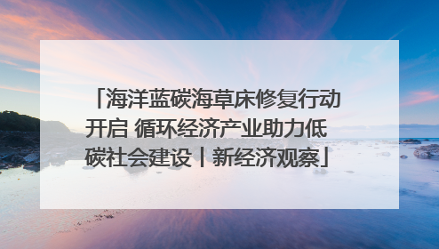 海洋蓝碳海草床修复行动开启 循环经济产业助力低碳社会建设丨新经济观察