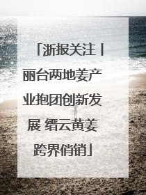 浙报关注丨丽台两地姜产业抱团创新发展 缙云黄姜跨界俏销